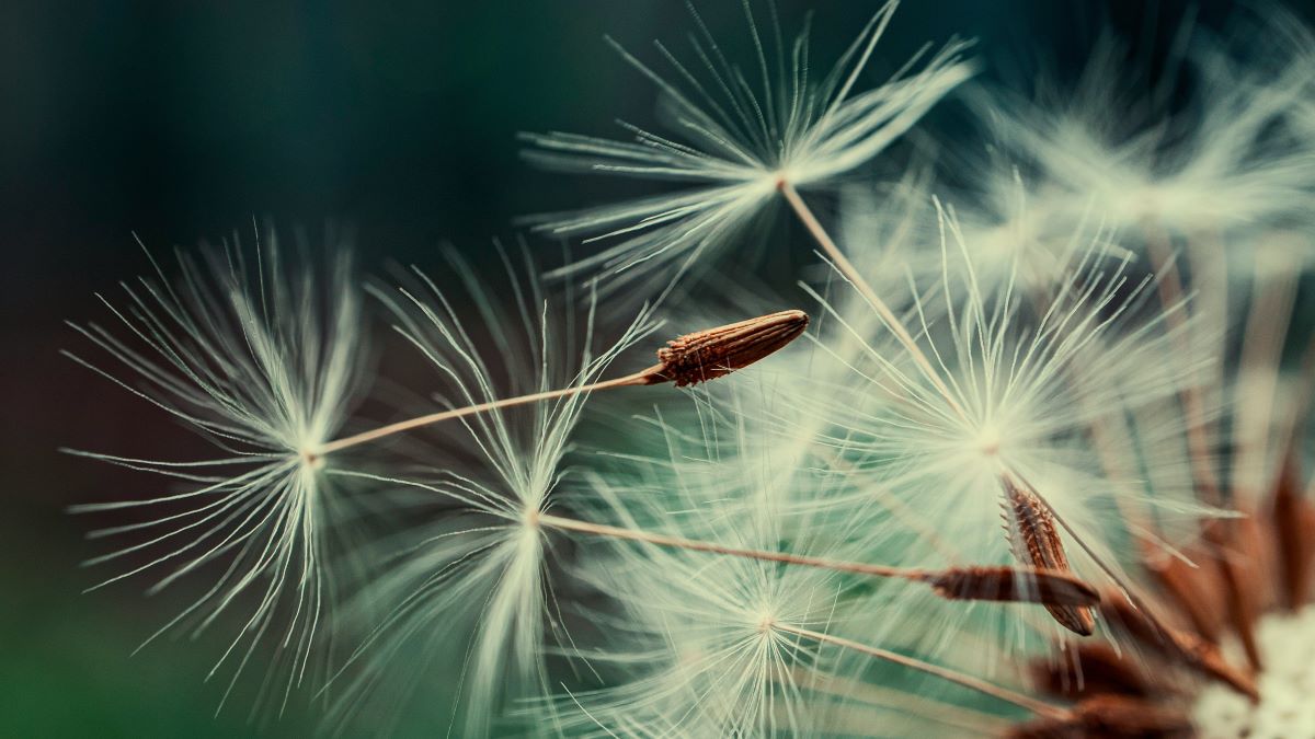 Kestävän koulutus­toiminnan edistäminen -artikkeli julkaistu